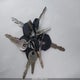 1B7HF16Y1RS626856 1994 Dodge Ram 1500 auction photo thumbnail 11