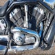 1HD1HDZ176K812150 2006 Harley-Davidson Vrscd auction photo thumbnail 8