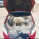 2G1WB58N189205189 2008 Chevrolet Impala Ls auction photo thumbnail 10