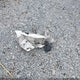 3CZRZ2H7XPM731451 2023 Honda Hr-V Awd Ex-L auction photo thumbnail 12
