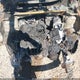 KNDJP3A51E7005914 2014 Kia Soul + auction photo thumbnail 10
