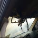 1C4RDJDG5FC202414 2015 Dodge Durango Limited auction photo thumbnail 13