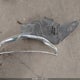 1N4AL2APXCN412152 2012 Nissan Altima 2.5 S auction photo thumbnail 12