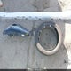 ZARFAMAN0L7636394 2020 Alfa Romeo Giulia Rwd auction photo thumbnail 12