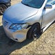 4T1BE46K49U385252 2009 Toyota Camry Le auction photo thumbnail 6