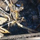 2G1WB5EKXB1279470 2011 Chevrolet Impala Lt auction photo thumbnail 5