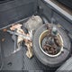1FTFW1ET4EKF13698 2014 Ford F-150 Xlt auction photo thumbnail 12
