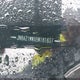 JN8AZ1MWXBW181837 2011 Nissan Murano Sl auction photo thumbnail 12