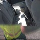 1C3CDFBA3DD709695 2013 Dodge Dart Sxt auction photo thumbnail 8