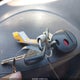 5TDZK23C09S263232 2009 Toyota Sienna Ce auction photo thumbnail 11