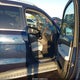 4JGDF6EE2HA770418 2017 Mercedes-Benz Gls 450 4Matic auction photo thumbnail 5