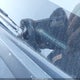 KMHDH4AE8CU345930 2012 Hyundai Elantra Gls (Ulsan Plant) auction photo thumbnail 9
