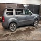 5FNYF4H36FB067963 2015 Honda Pilot Se auction photo thumbnail 13
