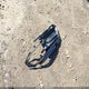2C3CDXJG7GH238069 2016 Dodge Charger Sxt auction photo thumbnail 12