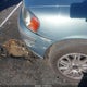 YV1RS64A542386376 2004 Volvo S60 2.4 auction photo thumbnail 13