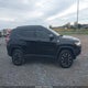 3C4NJDDB2LT170387 2020 Jeep Compass Trailhawk 4X4 auction photo thumbnail 13