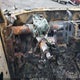 1FTRX12W26NB48947 2006 Ford F-150 Stx/Xl/Xlt auction photo thumbnail 7