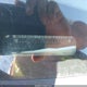 1G6DM57N130126850 2003 Cadillac Cts Standard auction photo thumbnail 9