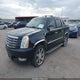 3GYFK62897G271309 2007 Cadillac Escalade Ext Standard auction photo thumbnail 2