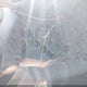 5NPDH4AE5FH648988 2015 Hyundai Elantra Se auction photo thumbnail 11