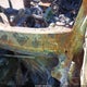 3GTP9EEDXMG293677 2021 GMC Sierra 1500 4Wd Short Box At4 auction photo thumbnail 9