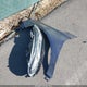1HGCV1F1XJA249732 2018 Honda Accord Lx auction photo thumbnail 12