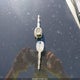 1G1ZA5EU2BF173900 2011 Chevrolet Malibu Ls auction photo thumbnail 11