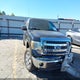 1FTFW1CT5DKG39344 2013 Ford F-150 Xlt auction photo thumbnail 1