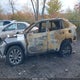 JTMA1RFV2RJ042850 2024 Toyota Rav4 Xle Premium auction photo thumbnail 6