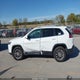 1C4PJMLB7LD570798 2020 Jeep Cherokee Latitude Plus 4X4 auction photo thumbnail 14