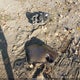 1GKER33728J133326 2008 GMC Acadia Slt-2 auction photo thumbnail 12
