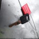 2G2FS32K8Y2154927 2000 Pontiac Firebird auction photo thumbnail 11