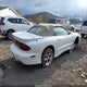 2G2FS32K8Y2154927 2000 Pontiac Firebird auction photo thumbnail 4