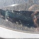 JM1BL1L88C1638731 2012 Mazda Mazda3 I Touring auction photo thumbnail 9