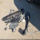 5XXGT4L37KG355459 2019 Kia Optima Lx auction photo thumbnail 11