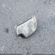 5TFPX4EN3CX008451 2012 Toyota Tacoma auction photo thumbnail 12