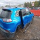 1C4PJMMX0MD199236 2021 Jeep Cherokee 80Th Anniversary 4X4 auction photo thumbnail 6