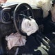 3TMCZ5AN1PM630501 2023 Toyota Tacoma Trd Sport auction photo thumbnail 21