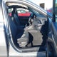 4T1G11AK6PU741088 2023 Toyota Camry Se auction photo thumbnail 5
