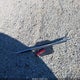 2GNALCEK1H1576100 2017 Chevrolet Equinox Lt auction photo thumbnail 12
