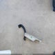 4T1BF1FK2GU575656 2016 Toyota Camry Se auction photo thumbnail 12