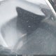 2T2BAMBA1RC025636 2024 Lexus Rx 350 Luxury auction photo thumbnail 15