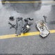 2HGFC2F56HH507431 2017 Honda Civic Lx auction photo thumbnail 12