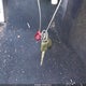 JN1AZ34D24T160641 2004 Nissan 350Z Touring auction photo thumbnail 11