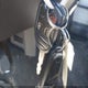 1FTFW1EF2BFB22600 2011 Ford F-150 Xlt auction photo thumbnail 11