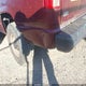 1GCGC24R4VE116189 1997 Chevrolet C2500 Hd Fleetside auction photo thumbnail 19