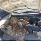 1FTRX17W0XKB32371 1999 Ford F-150 Lariat/Work Series/Xl/Xlt auction photo thumbnail 6