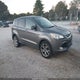 1FMCU0HX0DUB50574 2013 Ford Escape Sel auction photo thumbnail 1