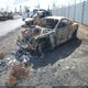 1FA6P8JZ3G5520682 2016 Ford Shelby Gt350 auction photo thumbnail 2
