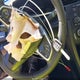19XFC2F62KE033732 2019 Honda Civic Lx auction photo thumbnail 11